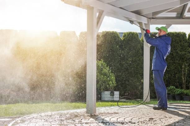Best Soft Washing  in Burt, MI