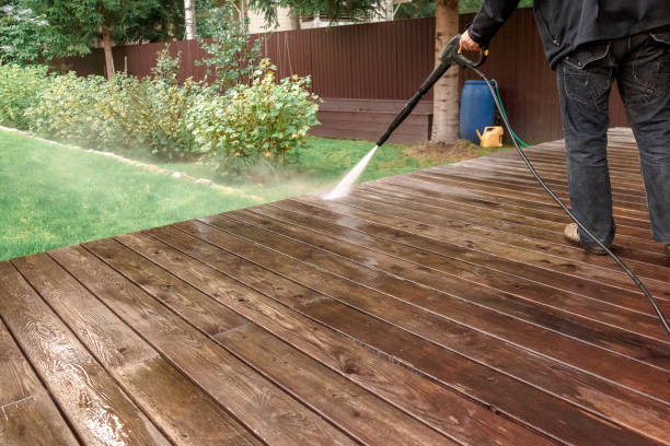 Best Sidewalk and Walkway Cleaning  in Burt, MI