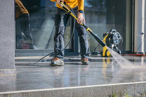 Best House Exterior Washing  in Burt, MI
