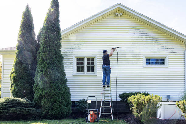 Best House Exterior Washing  in Burt, MI