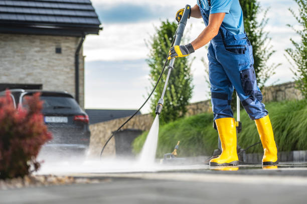 Best Animal Enclosure Cleaning  in Burt, MI