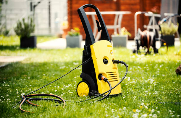 Best Roof Washing  in Burt, MI